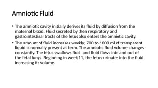 Comprehensive Overview of Conception and Fetal Development Processes | PPTX