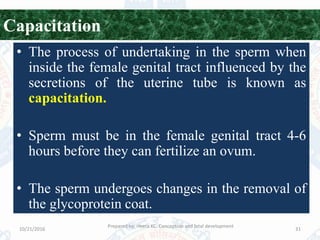 Capacitation Process Conception and fetal development by Heera KC Parajuli | PPSX