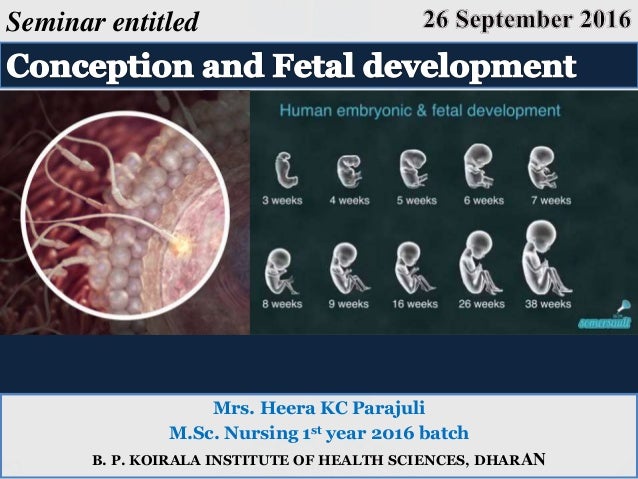 Mrs. Heera KC Parajuli
M.Sc. Nursing 1st year 2016 batch
B. P. KOIRALA INSTITUTE OF HEALTH SCIENCES, DHARAN
Seminar entitl...