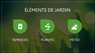 ÉLÉMENTS DE JARDIN
SEMENCES PLANTES MÉTÉO
 