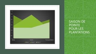 0
0.5
1
1.5
2
2.5
3
3.5
4
4.5
5
Bulbe Graine Transplantation
Série 1 Série 2 Série 3
SAISON DE
POINTE
POUR LES
PLANTATIONS
 
