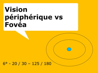 6° - 20 / 30 – 125 / 180 Vision périphérique vs Fovéa 