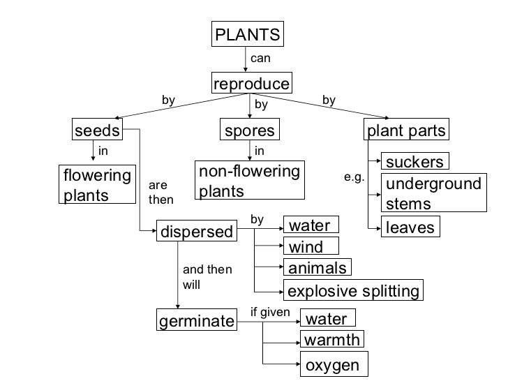 75+ Animal Reproduction Concept Map Notorioustomo