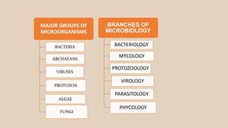MAJOR GROUPS OF
MICROORGANISMS
BACTERIA
ARCHAEANS
VIRUSES
PROTOZOA
ALGAE
FUNGI
BRANCHES OF
MICROBIOLOGY
BACTERIOLOGY
MYCOLOGY
PROTOZOOLOGY
VIROLOGY
PARASITOLOGY
PHYCOLOGY
 