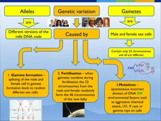 Concept Map Of Genetics Concept Map For Genetic Variation