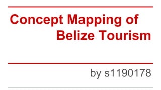 Concept Mapping of
Belize Tourism
by s1190178

 