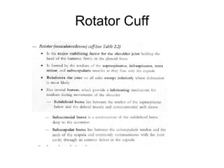 Rotator Cuff 