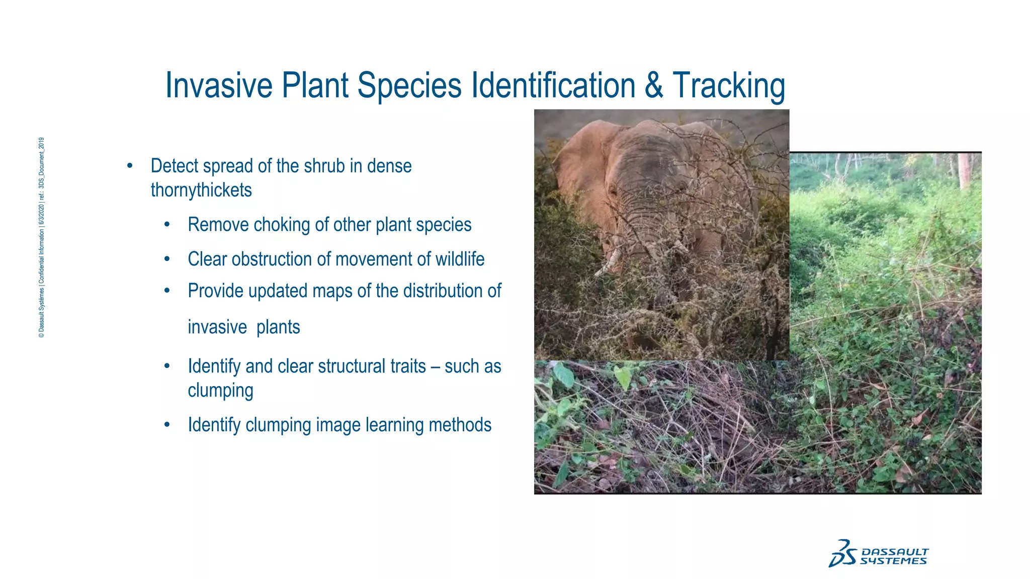 Invasive Plant Species Identification & Tracking
• Detect spread of the shrub in dense
thornythickets
• Remove choking of other plant species
• Clear obstruction of movement of wildlife
• Provide updated maps of the distribution of
invasive plants
• Identify and clear structural traits – such as
clumping
• Identify clumping image learning methods
©
Dassault
Systèmes
|
Confidential
Information
|
6/3/2020
|
ref.:
3DS_Document_2019
 