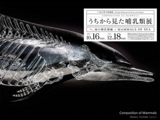 Composition of Mammals
      Wataru Yoshida (Japan)
 