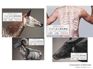 Composition of Mammals
      Wataru Yoshida (Japan)
 