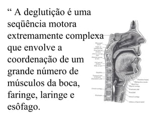 “  A deglutição é uma seqüência motora extremamente complexa que envolve a coordenação de um grande número de músculos da boca, faringe, laringe e esôfago. 