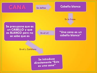 Se define  En la frase: En el L.C En el L. Cotidiano  