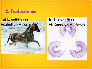 L. cotidiano: «caballo» =  horse b) L. científico: «triángulo» =  triangle 
