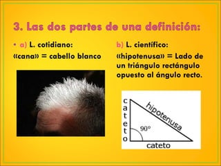 a)  L. cotidiano: «cana» = cabello blanco b)  L. científico: «hipotenusa» = Lado de un triángulo rectángulo opuesto al ángulo recto . 