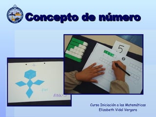 Concepto de número Curso Iniciación a las Matemáticas Elizabeth Vidal Vergara 