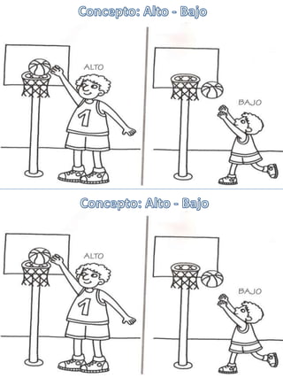 Concepto alto   bajo