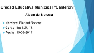 Unidad Educativa Municipal “Calderón” 
Álbum de Biología 
 Nombre: Richard Rosero 
 Curso: 1ro BGU “B” 
 Fecha: 19-09-2014 
 