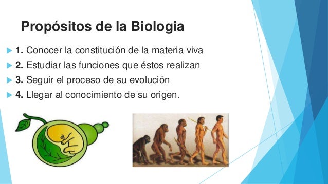 Concepto basico de biologia