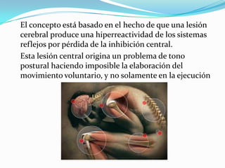El concepto está basado en el hecho de que una lesión
cerebral produce una hiperreactividad de los sistemas
reflejos por pérdida de la inhibición central.
Esta lesión central origina un problema de tono
postural haciendo imposible la elaboración del
movimiento voluntario, y no solamente en la ejecución
 