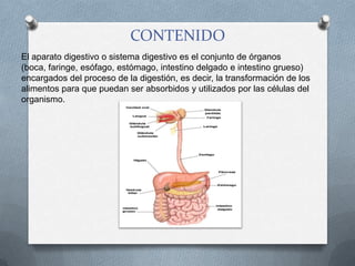 CONTENIDO
El aparato digestivo o sistema digestivo es el conjunto de órganos
(boca, faringe, esófago, estómago, intestino delgado e intestino grueso)
encargados del proceso de la digestión, es decir, la transformación de los
alimentos para que puedan ser absorbidos y utilizados por las células del
organismo.
 