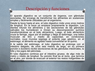 Descripción y funciones
El aparato digestivo es un conjunto de órganos, con glándulas
asociadas. Se encarga de transformar los alimentos en sustancias
simples y fácilmente utilizables por el organismo.
Desde la boca hasta el ano, el tubo digestivo mide unos once metros
de longitud. En la boca ya empieza propiamente la digestión. Los
dientes trituran los alimentos y las secreciones de las glándulas
salivales los humedecen e inician su descomposición química
transformándose en el bolo alimenticio. Luego, el bolo alimenticio
cruza la faringe, sigue por el esófago y llega al estómago, una bolsa
muscular de litro y medio de capacidad, en condiciones
normales, cuya mucosa segrega el potente jugo gástrico, en el
estómago, el alimento es agitado hasta convertirse en el quimo.
A la salida del estómago, el tubo digestivo se prolonga con el
intestino delgado, de unos seis metros de largo, en su primera
porción o duodeno recibe secreciones de las glándulas intestinales, la
bilis y los jugos del páncreas.
El tubo digestivo continúa por el intestino grueso, de algo más de
metro y medio de longitud. Su porción final es el recto, que termina
en el ano, por donde se evacuan al exterior los restos indigeribles de
los alimentos.
 