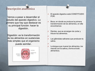 Descripción anatómica
                                    O   El aparato digestivo está CONSTITUIDO
                                        POR:
 Vamos a pasar a desarrollar el
estudio del aparato digestivo. Lo
                                    O   Boca: en donde se produce la primera
primero que hay que destacar es         transformación de los alimentos, en ella
  su principal función: hacer la        encontramos:
            digestión.
                                    O   Dientes, que se encargan de cortar y
                                        triturar los alimentos.
 Digestión: es la transformación    O
 de los alimentos en sustancias     O   Las glándulas salivares que producen la
 más simples que el organismo           saliva.
         puede asimilar.            O
                                    O   La lengua que mueve los alimentos, los
                                        mezcla con la saliva y forma el bolo
                                        alimenticio.
 