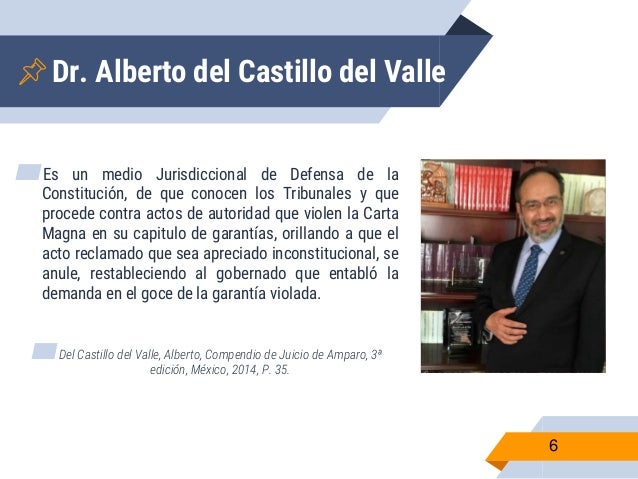 Concepto de amparo según varios autores.