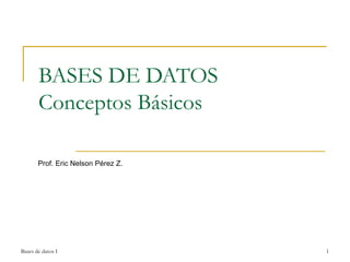 BASES DE DATOS Conceptos B á sicos  Prof. Eric Nelson Pérez Z. Bases de datos I 