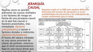 JERARQUÍA
CAUSAL
Muchas veces es posible
presentar las causas múltiples
y los factores de riesgo en
forma de una jerarquía causal
en la que hay causas o
factores proximales, más
inmediatos (factores
precipitantes), y causas o
factores distales o indirectos
(factores facilitadores)
El humo del tabaco inhalado
es una causa proximal de
cáncer de pulmón, mientras
que el nivel socioeconómico
bajo es una causa distal que
• Esquema usado en la OMS para analizar diferentes
elementos del proceso de causación y a la vez
probabilidades de prevención y los indicadores de
riesgos ambientales para la salud.
 