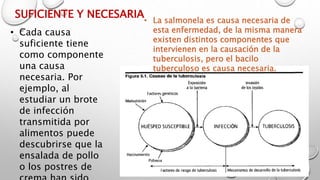 SUFICIENTE Y NECESARIA
• Cada causa
suficiente tiene
como componente
una causa
necesaria. Por
ejemplo, al
estudiar un brote
de infección
transmitida por
alimentos puede
descubrirse que la
ensalada de pollo
o los postres de
• La salmonela es causa necesaria de
esta enfermedad, de la misma manera
existen distintos componentes que
intervienen en la causación de la
tuberculosis, pero el bacilo
tuberculoso es causa necesaria.
 