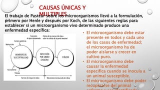 CAUSAS ÚNICAS Y
MULTIPLESEl trabajo de Pasteur sobre los microorganismos llevó a la formulación,
primero por Henle y después por Koch, de las siguientes reglas para
establecer si un microorganismo vivo determinado produce una
enfermedad específica:
• El microorganismo debe estar
presente en todos y cada uno
de los casos de enfermedad;
el microorganismo ha de
poder aislarse y crecer en
cultivo puro.
• El microorganismo debe
causar la enfermedad
especifica cuando se inocula a
un animal susceptible.
• El microorganismo debe poder
recuperarse del animal
 