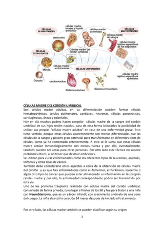CÉLULAS MADRE DEL CORDÓN UMBILICAL
Son células madre adultas, en su diferenciación pueden formar células
hematopoyéticas, células pulmonares, cardiacas, neuronas, células pancreáticas,
cartilaginosas, óseas y epiteliales.
Hoy en día muchos padres hacen congelar células madre de la sangre del cordón
umbilical de sus hijos recién nacidos, para de esta forma brindarles la posibilidad de
utilizar sus propias “células madre adultas” en caso de una enfermedad grave. Esto
tiene sentido, porque estas células aparentemente son menos diferenciadas que las
células de la sangre y poseen gran potencial para transformarse en diferentes tipos de
células, como ya he comentado anteriormente. A esto se le suma que estas células
madre actúan inmunológicamente con menos fuerza y por ello, eventualmente,
también pueden ser aptas para otras personas. Por otro lado esta técnica no supone
problemas éticos, al no tener que destruir embriones.
Se utilizan para curar enfermedades como los diferentes tipos de leucemias, anemias,
linfomas y otros tipos de cáncer.
También debe considerarse otros aspectos a cerca de la obtención de células madre
del cordón y es que hay enfermedades como el Alzheimer, el Parkinson, leucemia o
algún otro tipo de cáncer que pueden estar almacenada su información en las propias
células madre y por ello, la enfermedad correspondiente podría ser transmitida por
esta vía.
Uno de los primeros trasplante realizado con células madre del cordón umbilical,
conservado de forma privada, tuvo lugar a finales de los 90 y fue para tratar a una niña
con Neuroblastoma, que es un cáncer infantil, con crecimiento anómalo de una zona
del cuerpo. La niña alcanzó la curación 14 meses después de iniciado el tratamiento.
Por otro lado, las células madre también se pueden clasificar según su origen
3

 