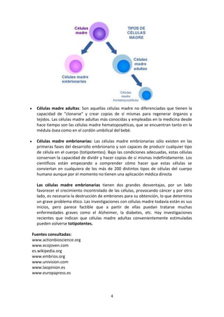 Células madre adultas: Son aquellas células madre no diferenciadas que tienen la
capacidad de "clonarse" y crear copias de sí mismas para regenerar órganos y
tejidos. Las células madre adultas más conocidas y empleadas en la medicina desde
hace tiempo son las células madre hematopoyéticas, que se encuentran tanto en la
médula ósea como en el cordón umbilical del bebé.
Células madre embrionarias: Las células madre embrionarias sólo existen en las
primeras fases del desarrollo embrionario y son capaces de producir cualquier tipo
de célula en el cuerpo (totipotentes). Bajo las condiciones adecuadas, estas células
conservan la capacidad de dividir y hacer copias de sí mismas indefinidamente. Los
científicos están empezando a comprender cómo hacer que estas células se
conviertan en cualquiera de los más de 200 distintos tipos de células del cuerpo
humano aunque por el momento no tienen una aplicación médica directa
Las células madre embrionarias tienen dos grandes desventajas, por un lado
favorecer el crecimiento incontrolado de las células, provocando cáncer y por otro
lado, es necesaria la destrucción de embriones para su obtención, lo que determina
un grave problema ético. Las investigaciones con células madre todavía están es sus
inicios, pero parece factible que a partir de ellas puedan tratarse muchas
enfermedades graves como el Alzheimer, la diabetes, etc. Hay investigaciones
recientes que indican que células madre adultas convenientemente estimuladas
pueden volverse totipotentes.
Fuentes consultadas:
www.actionbioscience.org
www.ecojoven.com
es.wikipedia.org
www.embrios.org
www.univision.com
www.laopinion.es
www.europapress.es

4

 