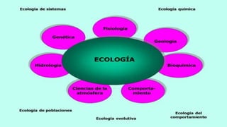 Concepto de ecologia