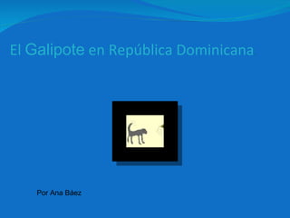 El  Galipote  en República Dominicana . Por Ana Báez 