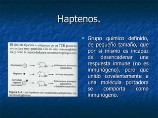 Haptenos. Grupo químico definido, de pequeño tamaño, que por si mismo es incapaz de desencadenar una respuesta inmune (no es inmunógeno), pero que unido covalentemente a una molécula portadora se comporta como inmunógeno. 