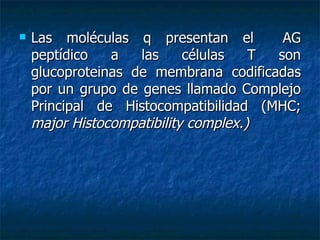 Las moléculas q presentan el  AG peptídico a las células T son glucoproteinas de membrana codificadas por un grupo de genes llamado Complejo Principal de Histocompatibilidad (MHC;  major Histocompatibility complex.) 