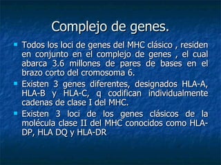 Complejo de genes. Todos los loci de genes del MHC clásico , residen en conjunto en el complejo de genes , el cual abarca 3.6 millones de pares de bases en el brazo corto del cromosoma 6. Existen 3 genes diferentes, designados HLA-A, HLA-B y HLA-C, q codifican individualmente cadenas de clase I del MHC. Existen 3 loci de los genes clásicos de la molécula clase II del MHC conocidos como HLA- DP, HLA DQ y HLA-DR 