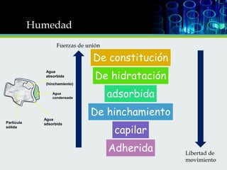Humedad
Fuerzas de unión

De constitución
Agua
absorbida
(hinchamiento)
Agua
condensada

Partícula
sólida

Agua
adsorbida

De hidratación
adsorbida
De hinchamiento
capilar
Adherida

Libertad de
movimiento

 