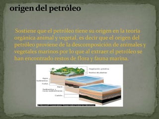 Sostiene que el petróleo tiene su origen en la teoría orgánica animal y vegetal, es decir que el origen del petróleo proviene de la descomposición de animales y vegetales marinos por lo que al extraer el petróleo se han encontrado restos de flora y fauna marina.origen del petróleo