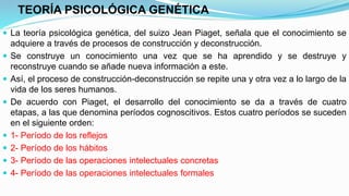 TEORÍA PSICOLÓGICA GENÉTICA
 La teoría psicológica genética, del suizo Jean Piaget, señala que el conocimiento se
adquiere a través de procesos de construcción y deconstrucción.
 Se construye un conocimiento una vez que se ha aprendido y se destruye y
reconstruye cuando se añade nueva información a este.
 Así, el proceso de construcción-deconstrucción se repite una y otra vez a lo largo de la
vida de los seres humanos.
 De acuerdo con Piaget, el desarrollo del conocimiento se da a través de cuatro
etapas, a las que denomina períodos cognoscitivos. Estos cuatro períodos se suceden
en el siguiente orden:
 1- Período de los reflejos
 2- Período de los hábitos
 3- Período de las operaciones intelectuales concretas
 4- Período de las operaciones intelectuales formales
 