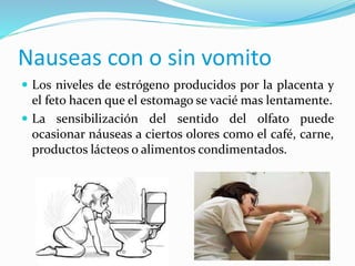  Los niveles de estrógeno producidos por la placenta y
el feto hacen que el estomago se vacié mas lentamente.
 La sensibilización del sentido del olfato puede
ocasionar náuseas a ciertos olores como el café, carne,
productos lácteos o alimentos condimentados.
Nauseas con o sin vomito
 