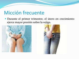  Durante el primer trimestre, el útero en crecimiento
ejerce mayor presión sobre la vejiga.
Micción frecuente
 
