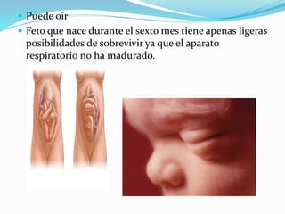  Puede oir
 Feto que nace durante el sexto mes tiene apenas ligeras
posibilidades de sobrevivir ya que el aparato
respiratorio no ha madurado.
 