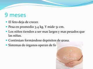  El feto deja de crecer.
 Pesa en promedio 3.4 kg. Y mide 51 cm.
 Los niños tienden a ser mas largos y mas pesados que
las niñas.
 Continúan formándose depósitos de grasa.
 Sistemas de órganos operan de forma eficiente.
9 meses
 