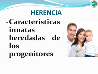 HERENCIA
-Características
innatas
heredadas de
los
progenitores
 