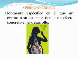  PERIODO CRITICO
Momento específico en el que un
evento o su ausencia tienen un efecto
concreto en el desarrollo.
 