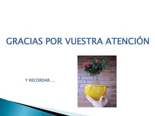 GRACIAS POR VUESTRA ATENCIÓN
Y RECORDAR….
 