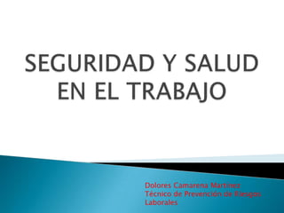 Dolores Camarena Martínez
Técnico de Prevención de Riesgos
Laborales
 