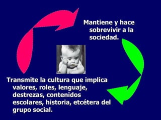 Mantiene y hace sobrevivir a la sociedad. Transmite la cultura que implica valores, roles, lenguaje, destrezas, contenidos escolares, historia, etcétera del grupo social. 
